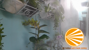 Nguyên lý hoạt động máy phun sương làm mát