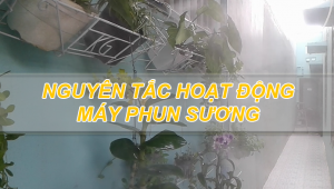 Nguyên tắc hoạt động máy phun sương làm mát