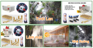 Lắp đặt hệ thống phun sương làm mát tạo ẩm tại Kon Tum