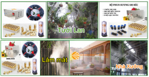 Máy phun sương giá rẻ tại Hà Nội