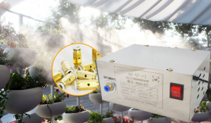 Máy phương giá rẻ tốt