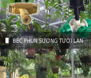 Béc phun sương tưới lan